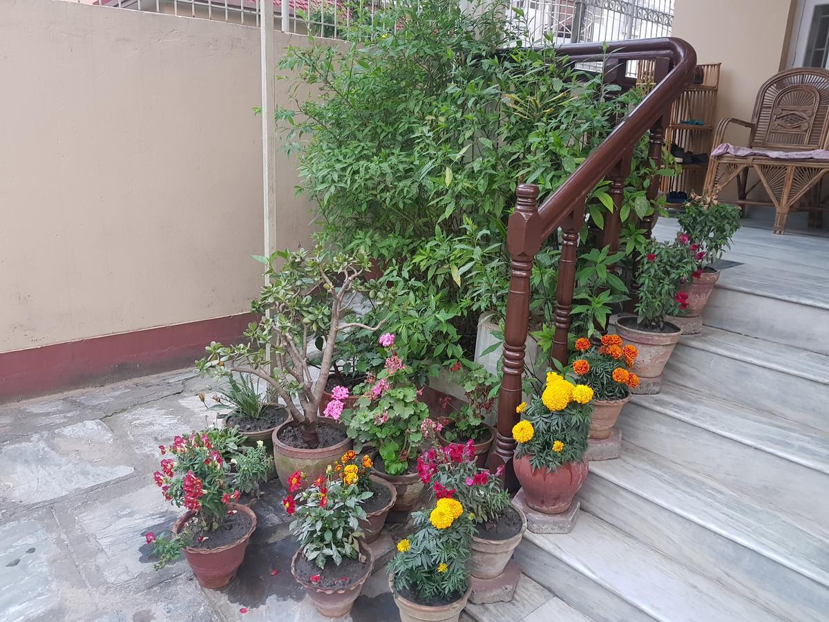 Cozy Home Jawlakhel Екстер'єр фото